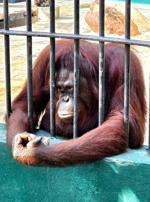 Safari World Bangkok